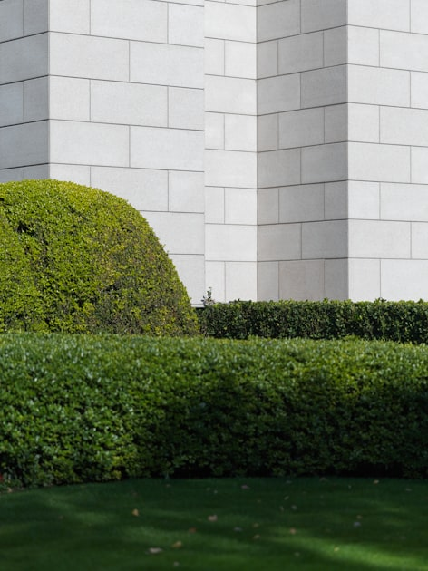 The Importance of Seasonal Yard Clean Up