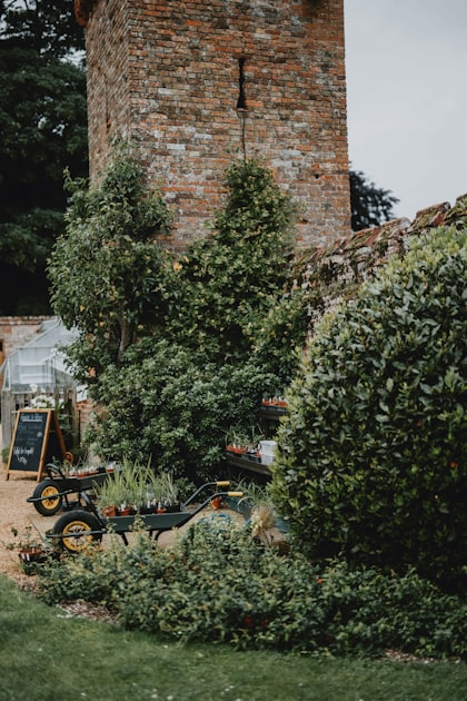 Snow Removal: Keeping Your Property Safe